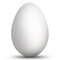Blown Out Hollow Real Goose Eggshell, Empty Cleaned-Out Egg for Easter Egg Decorating, DIY Pysanky Craft 3.25 Inches Tall